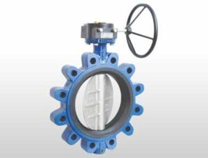 Rubber Lined Lug & Wafer Type Butterfly Valve